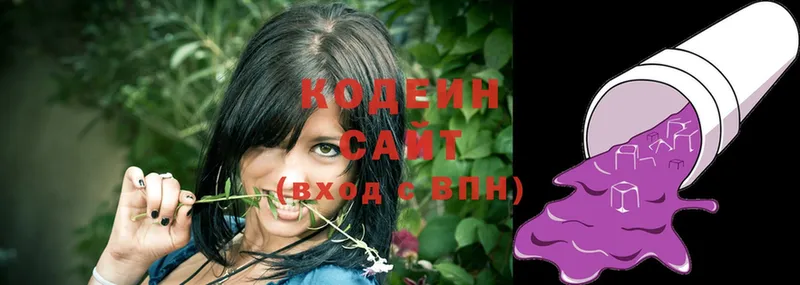 купить наркотик  Шадринск  Codein Purple Drank 