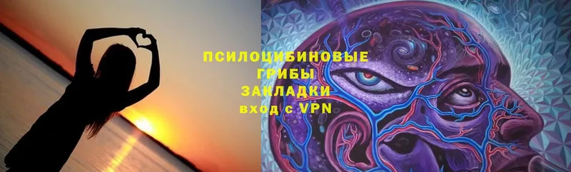 Псилоцибиновые грибы Cubensis  Шадринск 